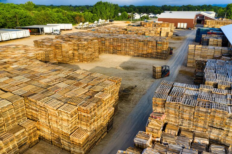 Hardwood vs Softwood