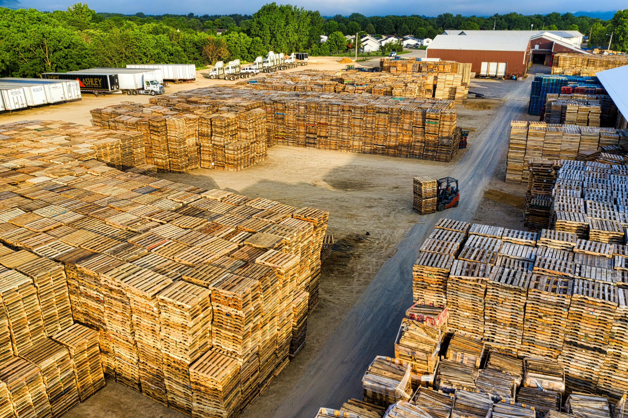 Hardwood vs Softwood